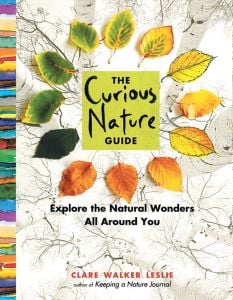 Curious Nature Guide (The): Explore The Natural Wonders All Around You.