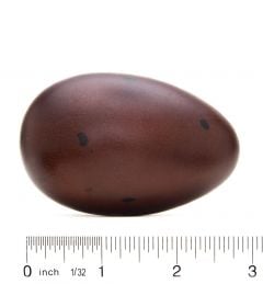 Loon (Common) Egg Replica