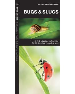 Bugs & Slugs: Invertebrates of North America (Pocket Naturalist® Guide)