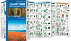 California Trees & Wildflowers (Pocket Naturalist® Guide)