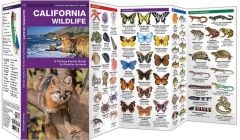 California Wildlife (Pocket Naturalist® Guide)