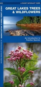Great Lakes Trees & Wildflowers (Pocket Naturalistֳ‚ֲ® Guide).
