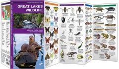 Great Lakes Wildlife (Pocket Naturalist® Guide).