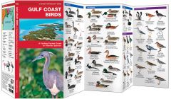 Gulf Coast Birds (Pocket Naturalist® Guide)
