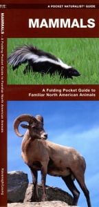 Mammals (Pocket Naturalist® Guide).