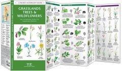 Grassland Trees & Wildflowers (Pocket Naturalist® Guide)