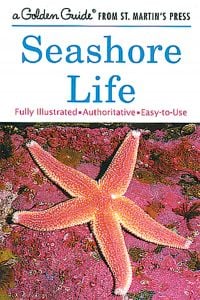 Seashore Life (Golden Guide)