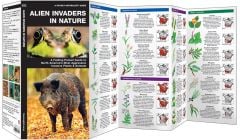 Invasive Species: Alien Invaders in Nature (Pocket Naturalist® Guide)