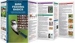 Bird Feeding Basics (Pocket Naturalist® Guide)