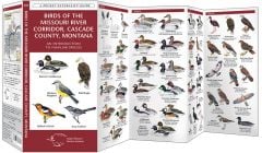 Birds of the Missouri River Corridor, Cascade County, Montana (Pocket Naturalist® Guide)