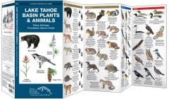 Lake Tahoe Basin Plants & Animals (Pocket Naturalist® Guide)