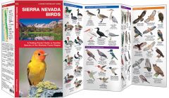 Sierra Nevada Birds (Pocket Naturalist® Guide).