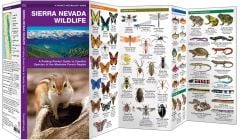 Sierra Nevada Wildlife (Pocket Naturalist® Guide)