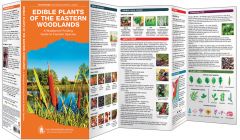 Edible Plants Of The Eastern Woodlands (Pathfinder Outdoor Survival Guide™).