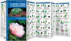 Alabama Trees & Wildflowers (Pocket Naturalist® Guide).