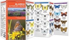 Alaska Butterflies & Moths (Pocket Naturalist® Guide)