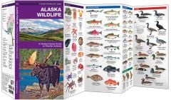Alaska Wildlife (Pocket Naturalist® Guide)