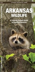 Arkansas Wildlife (Pocket Naturalist® Guide)