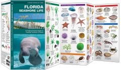 Florida Seashore Life (Pocket Naturalist® Guide)