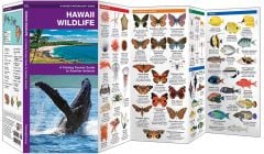 Hawaii Wildlife (Pocket Naturalist® Guide)