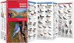 Idaho Birds (Pocket Naturalist® Guide)