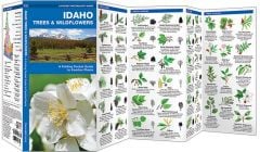 Idaho Trees & Wildflowers (Pocket Naturalist® Guide)
