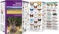 Idaho Wildlife (Pocket Naturalist® Guide)