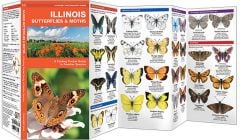 Illinois Butterflies & Moths (Pocket Naturalist® Guide)