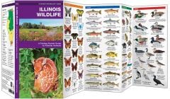 Illinois Wildlife (Pocket Naturalist® Guide).
