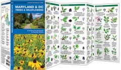 Maryland & Dc Trees & Wildflowers (Pocket Naturalist® Guide)