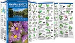 Massachusetts Trees & Wildflowers (Pocket Naturalist® Guide)
