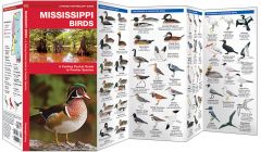 Mississippi Birds (Pocket Naturalist® Guide).