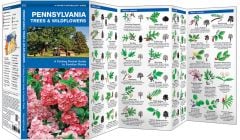Pennsylvania Trees & Wildflowers (Pocket Naturalist® Guide)