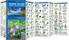 Rhode Island Trees & Wildflowers (Pocket Naturalist® Guide).