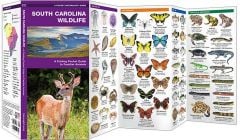 South Carolina Wildlife (Pocket Naturalist® Guide).