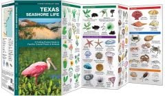 Texas Seashore Life (Pocket Naturalist® Guide).