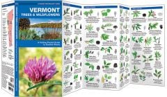 Vermont Trees & Wildflowers (Pocket Naturalist® Guide)