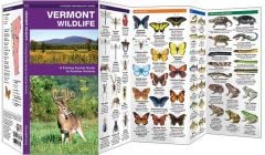 Vermont Wildlife (Pocket Naturalist® Guide).