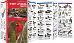 West Virginia Birds (Pocket Naturalist® Guide).