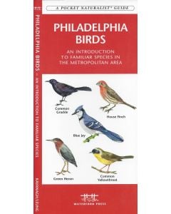 Philadelphia Birds (Pocket Naturalistֳ‚ֲ® Guide).