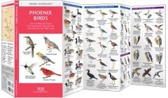 Phoenix Birds (Pocket Naturalist® Guide)