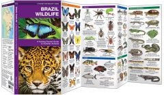 Brazil Wildlife (Pocket NaturalistÃƒâ€šÃ‚Â® Guide).