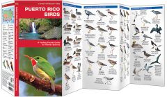 Puerto Rico Birds (Pocket Naturalist® Guide)