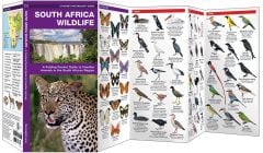 South Africa Wildlife (Pocket NaturalistÃƒâ€šÃ‚Â® Guide).