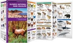 Olympic National Park Wildlife (Pocket NaturalistÃƒâ€šÃ‚Â® Guide).