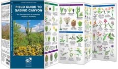 Field Guide To Sabino Canyon (Pocket NaturalistÃƒâ€šÃ‚Â® Guide). 