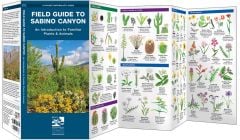 Field Guide to Sabino Canyon (Pocket Naturalist® Guide)