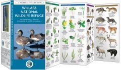 Willapa National Wildlife Refuge (Pocket Naturalist® Guide)