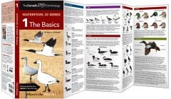 Cornell Lab Of Ornithology Waterfowl Id: The Basics.