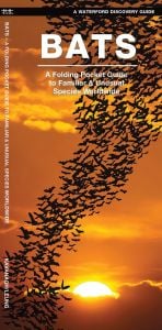 Bats (Waterford Discovery® Guide)